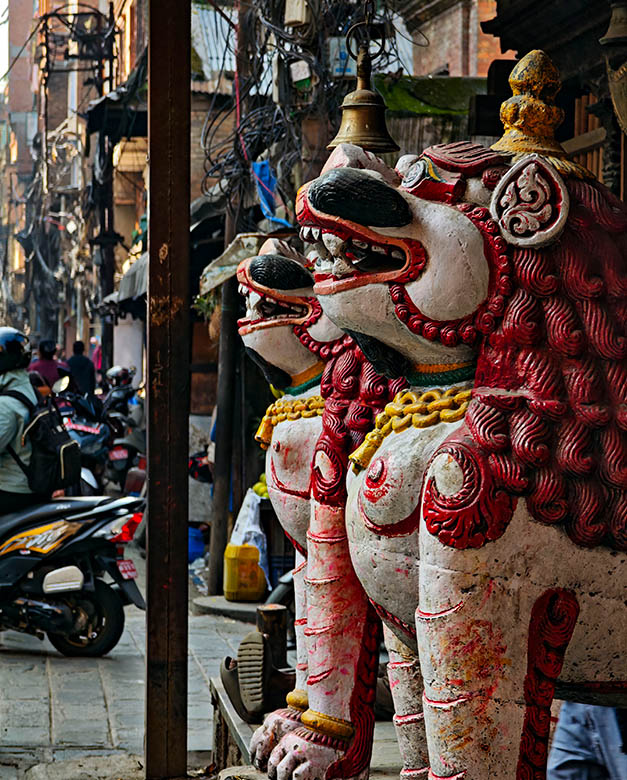 Kathmandu City + Pokhara - imagen 9